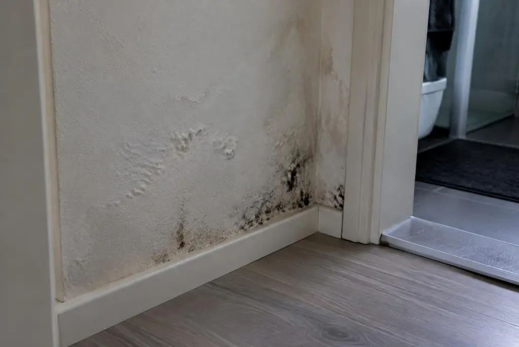 Lekdetectie Meerkerk – vochtplek met schimmel op een muur